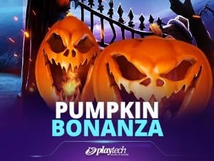 Pumpkin Bonanza game icon