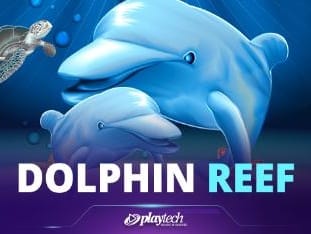 Dolphin Reef game icon